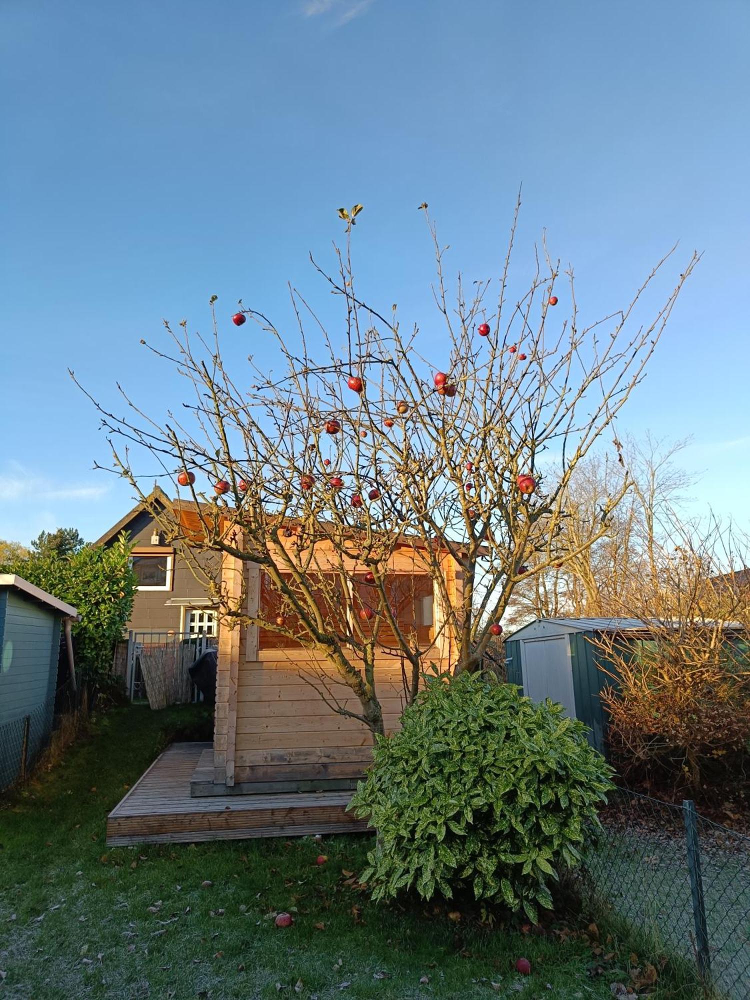 Beachhouse mit Garten: 700m zum Strand! Schonberger Strand Exterior foto